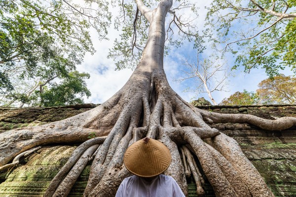 Visita o Camboja 