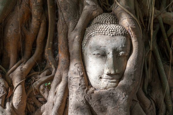 Ayutthaya –  Bangkok 