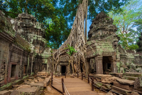 Dia 03: Siem Reap - Ta Prohm - Banteay Srei - Tonle Sap 