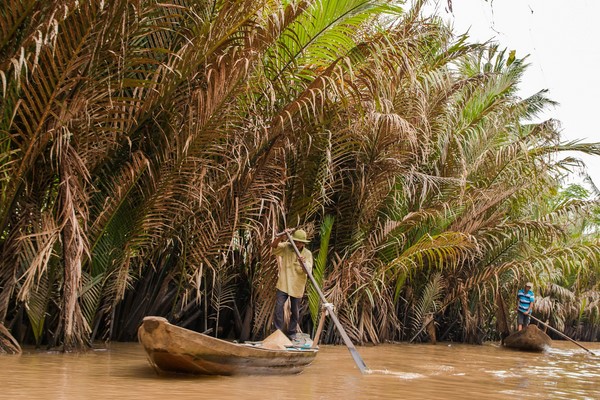 Dia 10: Saigon - Ben Tre - Can Tho