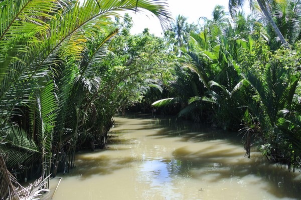 Dia 12: Hoi An - Danang - Voo para Saigon - Ben Tre - Saigon