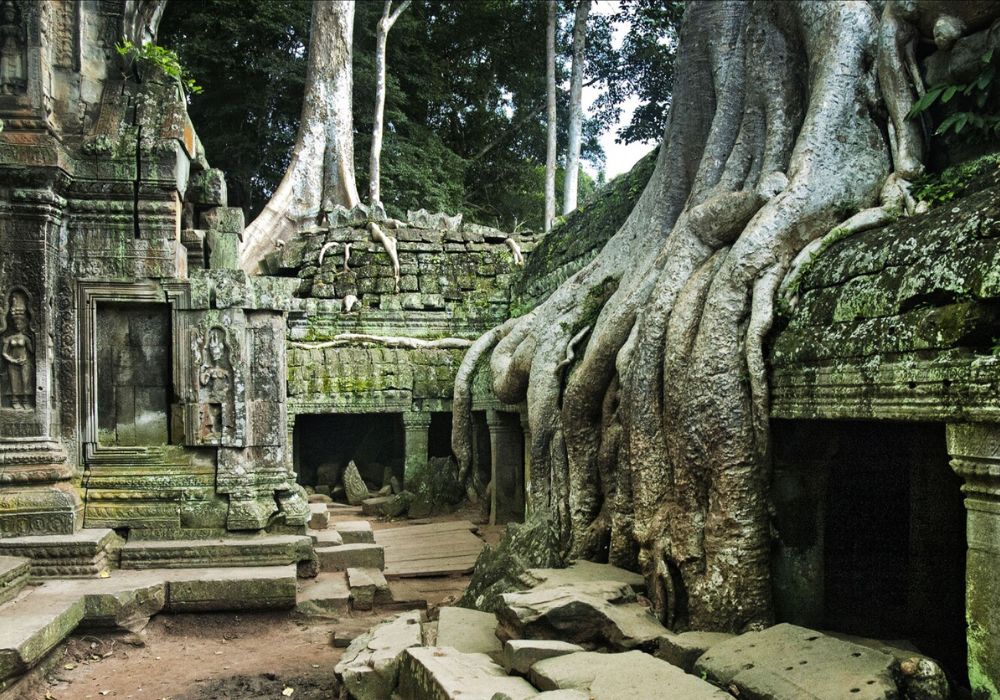 Ta Prohm