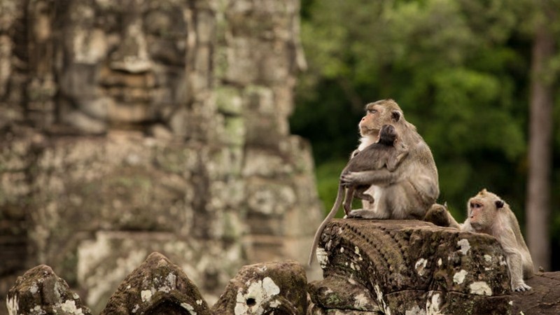 Como é que Angkor foi esquecido 1