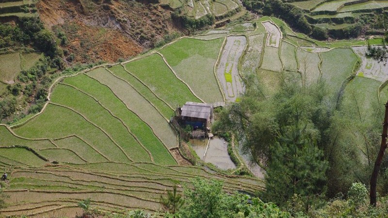 Mai Chau