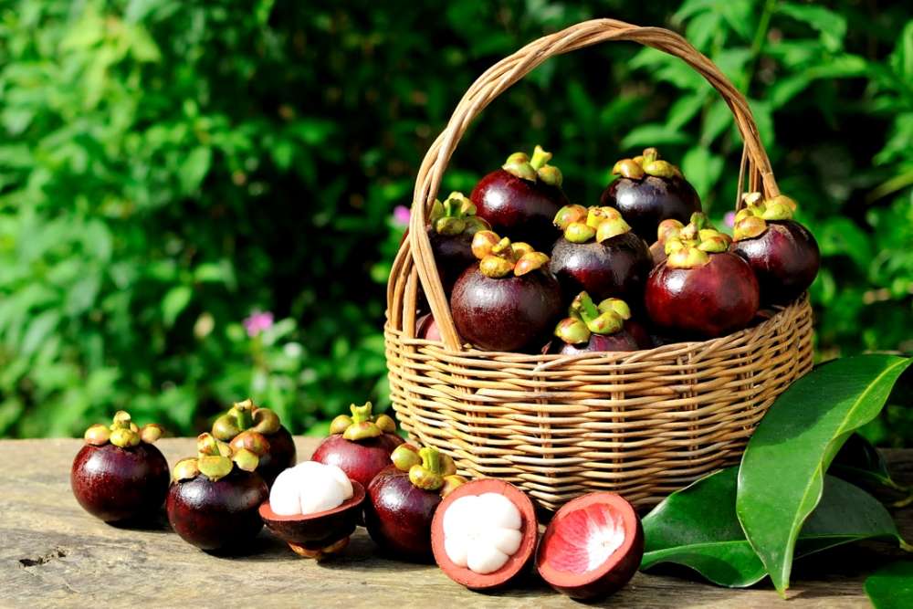 fruta tailandia mangostao