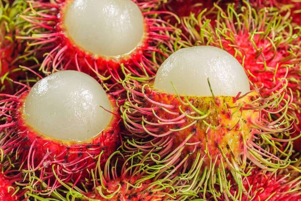 /fruta tailandia rambutan