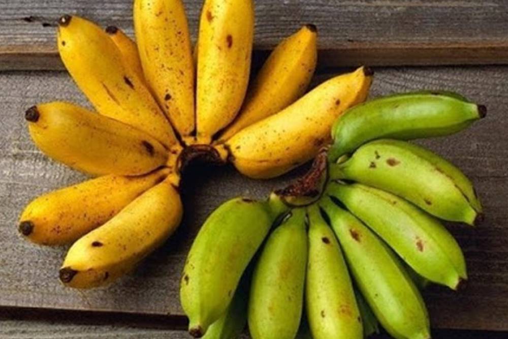 fruta vietna banana