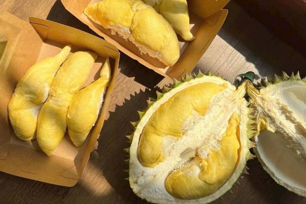 fruta vietna durian