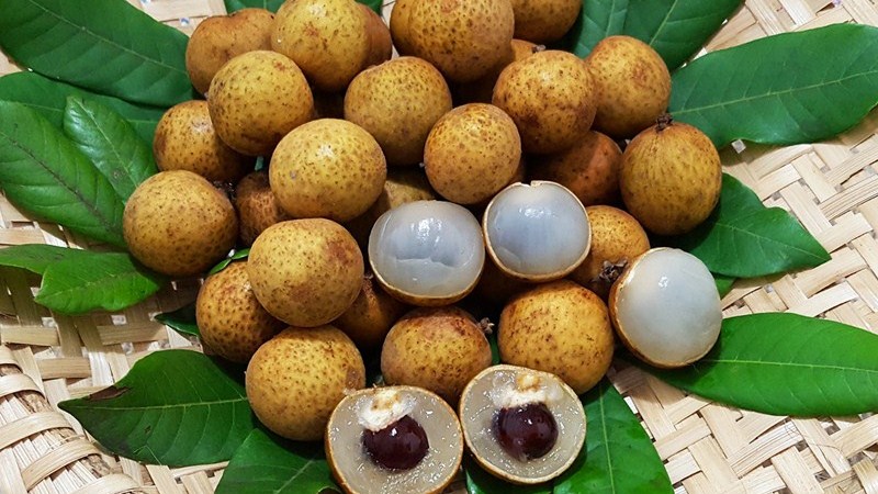 Frutas do Vietnã: Longan