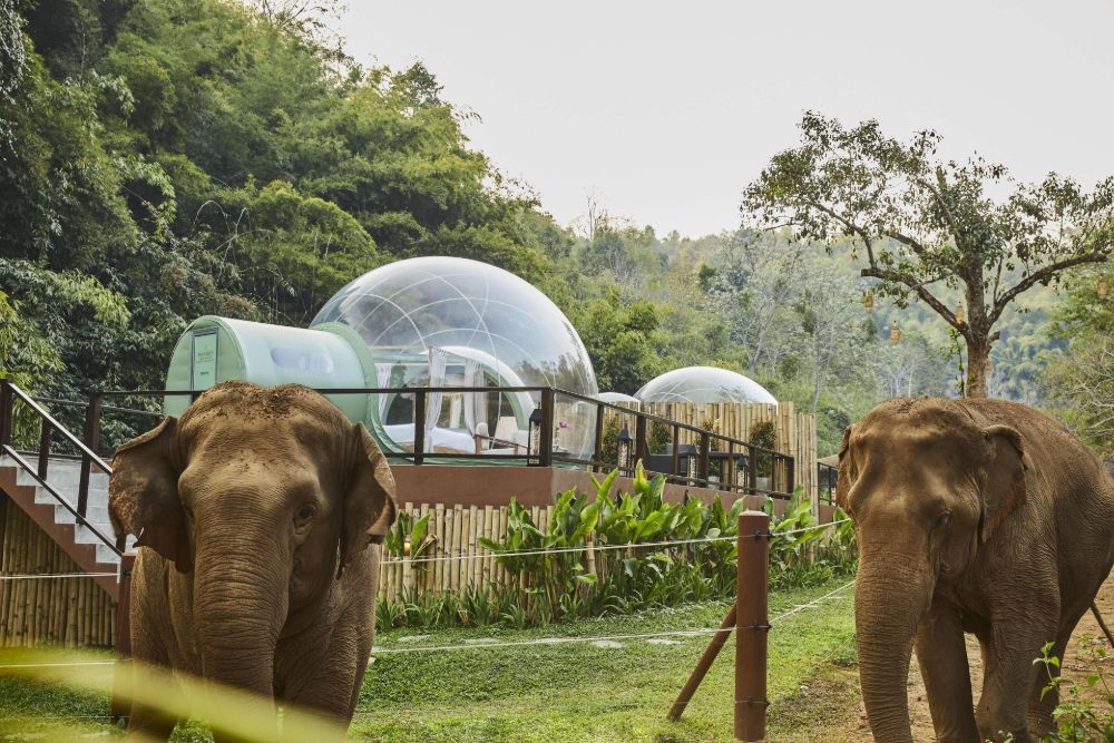 hotel chiang rai anantara