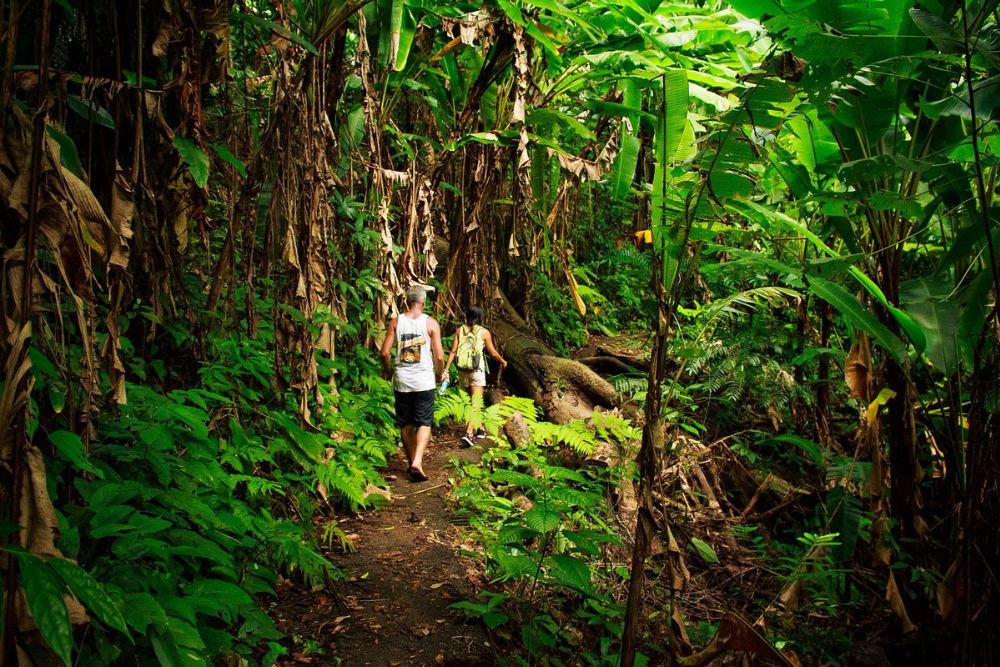 Parque nacional Phuket