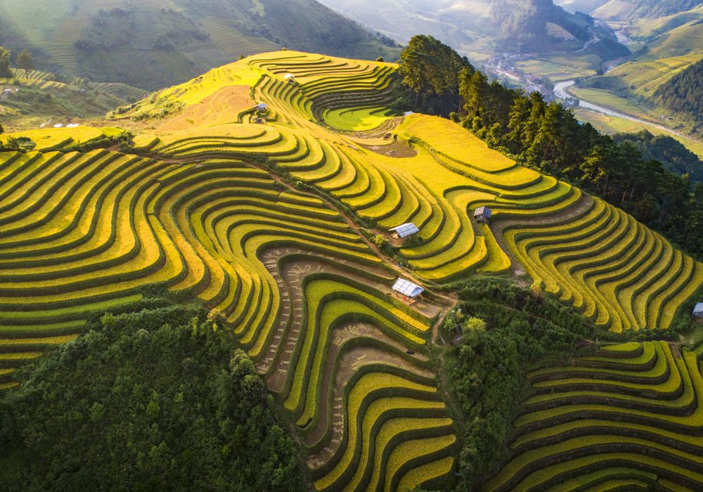 Mu Cang Chai